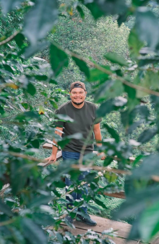 Carlos Cadena - Pacamara - Natural