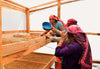 Grupo Nee Pamm Oaxaca - Honey - Bourbon Rojo