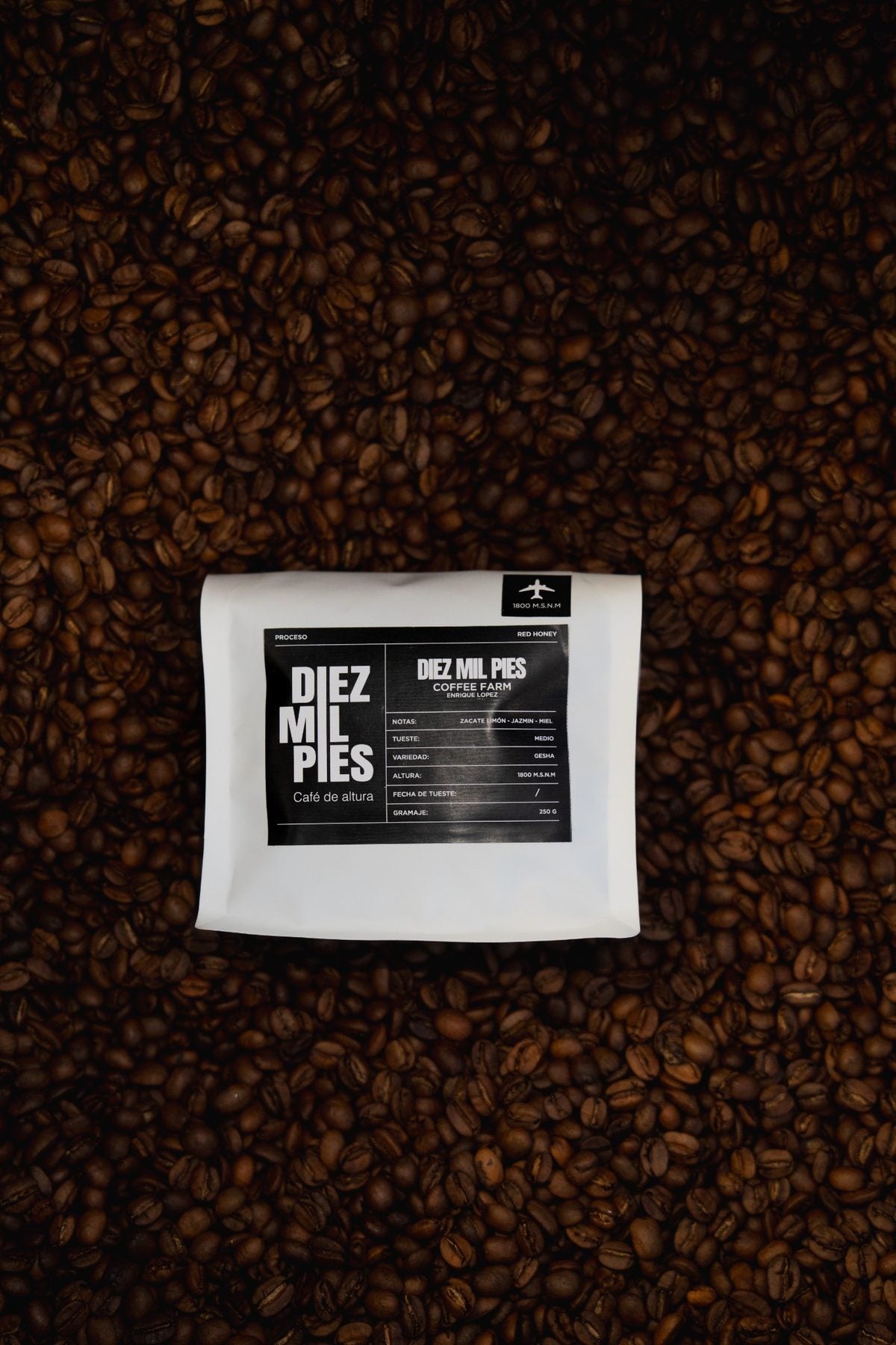 Diez Mil Pies Coffee Farm - Gesha