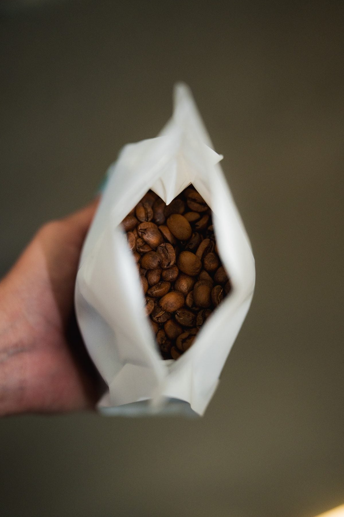 Diez Mil Pies Coffee Farm - Gesha
