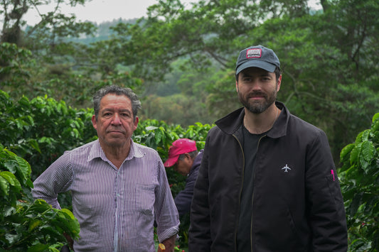 Finca Santoli - Veracruz - AnaCafé 14 - Lavado