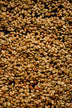 Finca Chelín - Bourbon Amarillo - Hydro Honey