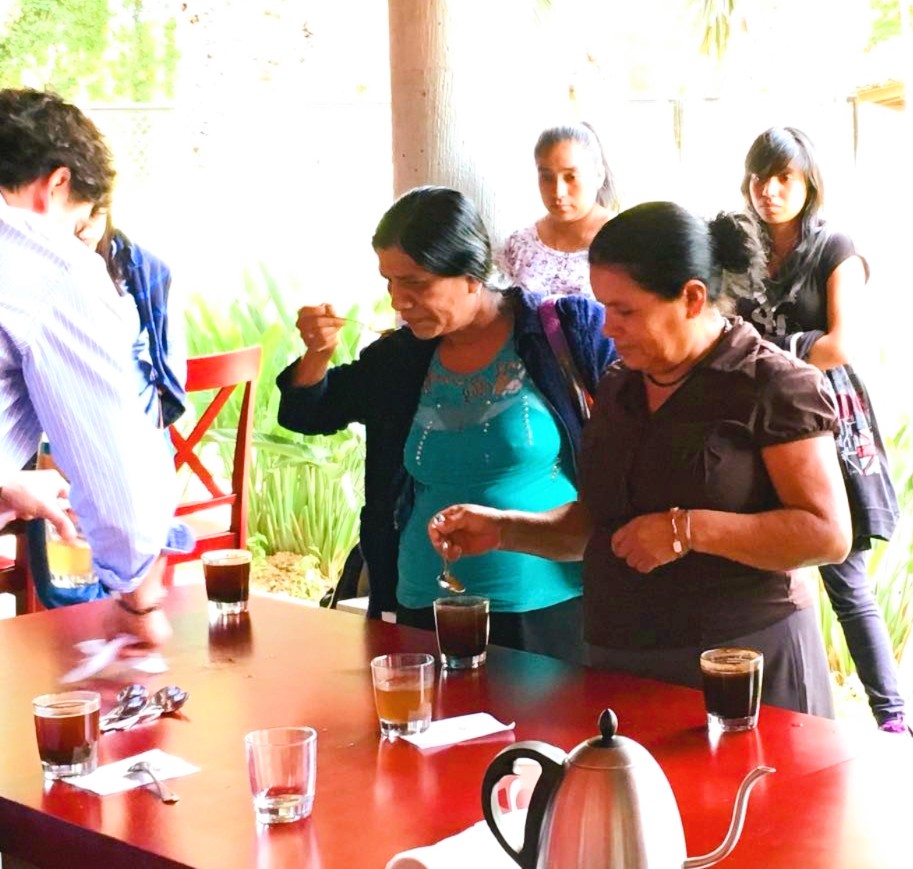 Manos de Mujer Oaxaqueña - Typica & Marsellesa - Lavado